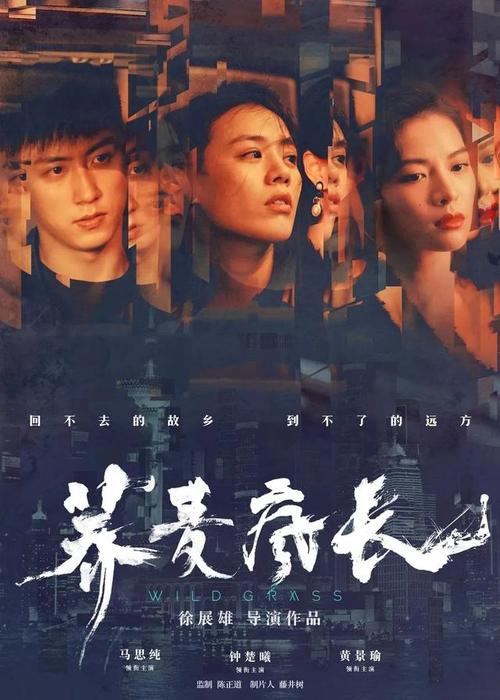 怎么办假北卡罗来纳韦斯理学院文凭毕业证